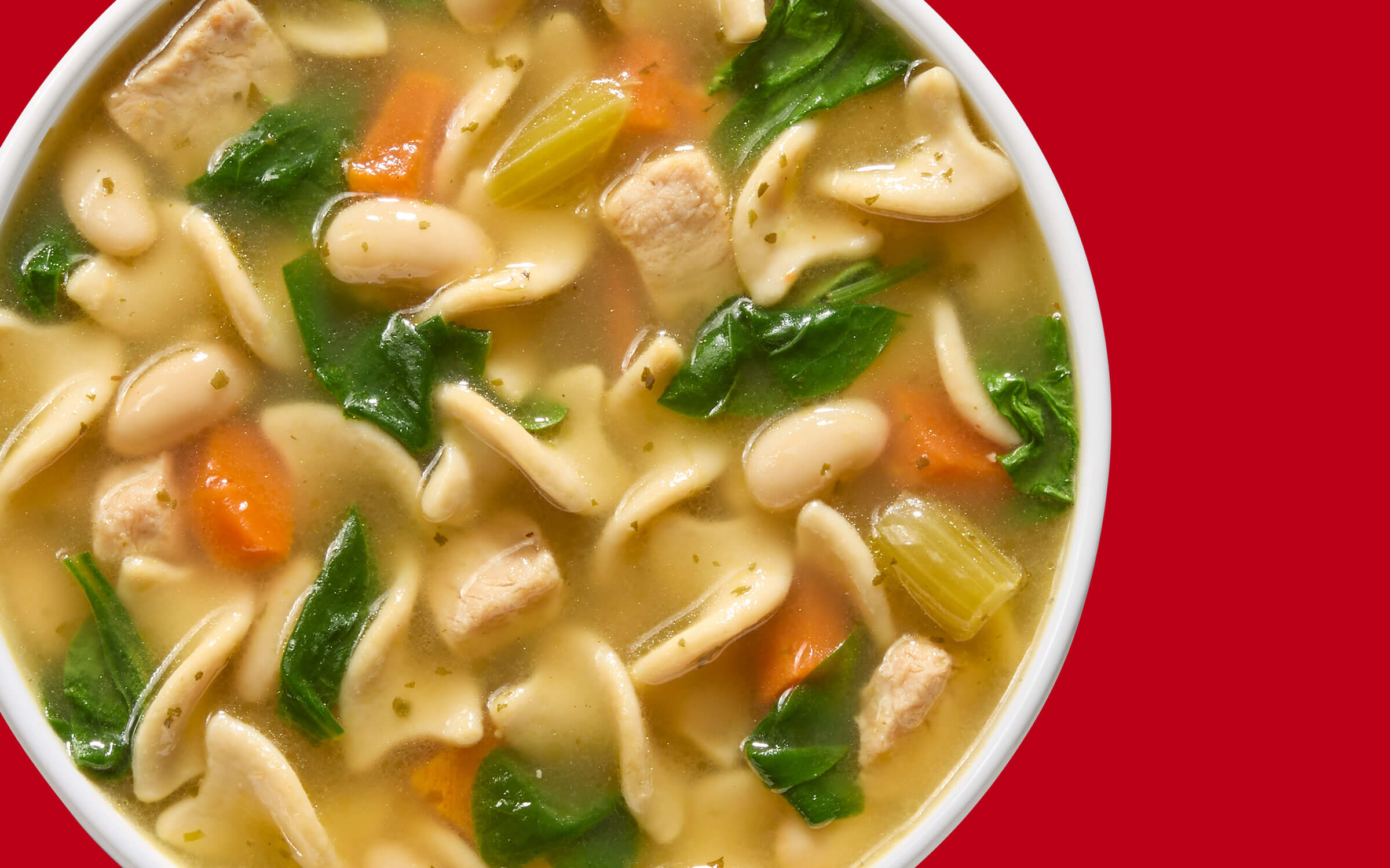 Soupe poulet et nouilles aux épinards et aux haricots blancs