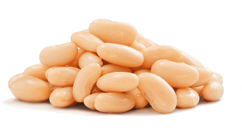 Haricots blancs