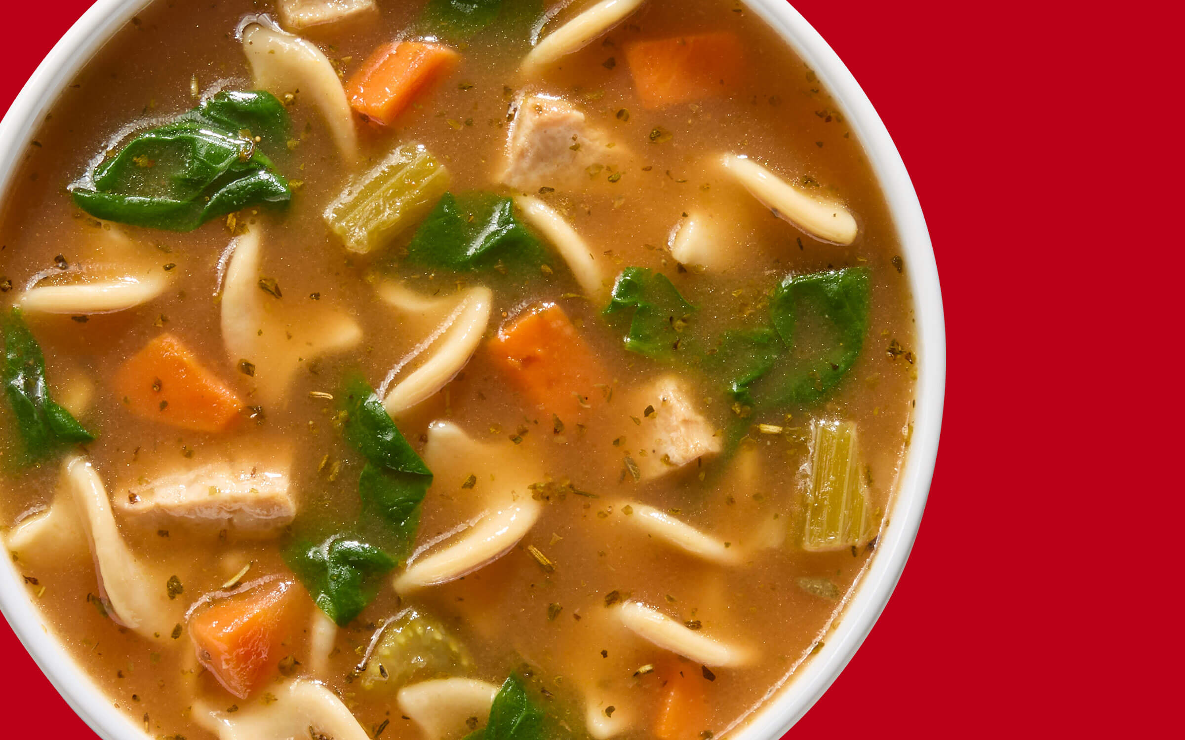 Italian-Style Chicken Noodle Soup