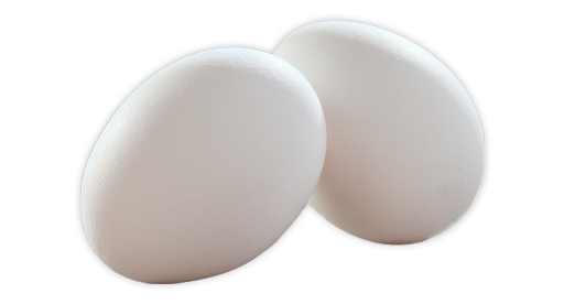 Eggs