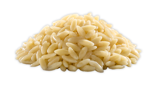 Orzo
